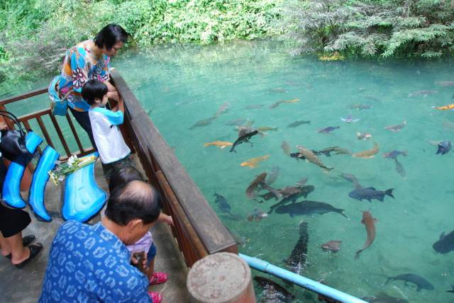 Chiang Dao Cave_Chiang Mai 017, Пещеры Чианг Дао, Чианг Май