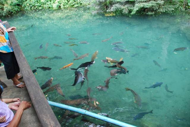 Chiang Dao Cave_Chiang Mai 014, Пещеры Чианг Дао, Чианг Май