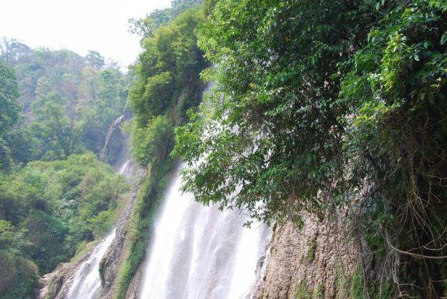 Thi Lo Su Waterfall_Umpang_Thailand 082, Водопад Ти Ло Су, Умпанг