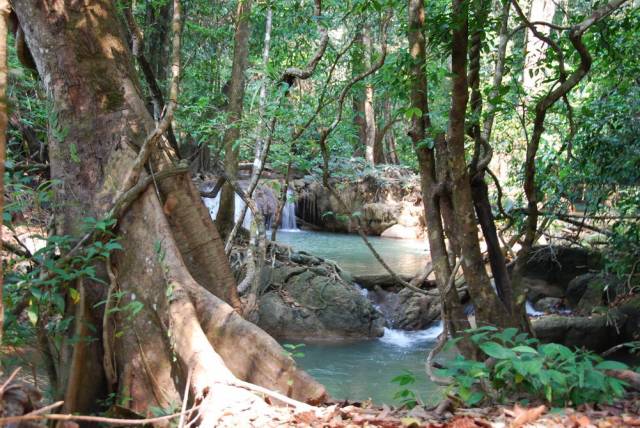 Thi Lo Su Waterfall_Umpang_Thailand 028, Водопад Ти Ло Су, Умпанг