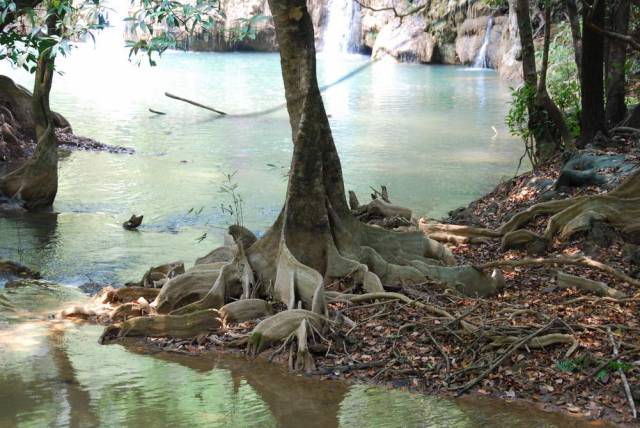 Thi Lo Su Waterfall_Umpang_Thailand 102, Водопад Ти Ло Су, Умпанг