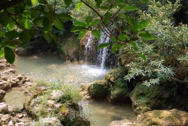 Thi Lo Su Waterfall_Umpang_Thailand 049, Водопад Ти Ло Су, Умпанг