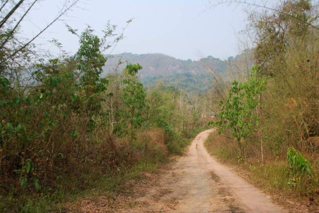 Thi Lo Su Waterfall_Umpang_Thailand 006, Водопад Ти Ло Су, Умпанг