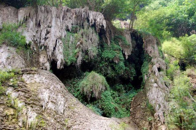 Thi Lo Su Waterfall_Umpang_Thailand 098, Водопад Ти Ло Су, Умпанг