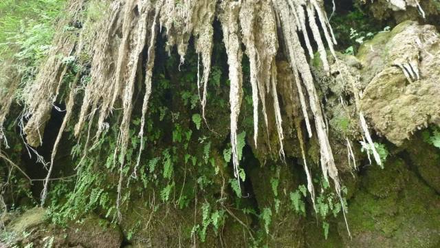 Thi Lo Su Waterfall_Umpang_Thailand 108, Водопад Ти Ло Су, Умпанг