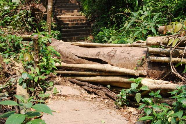 Thi Lo Su Waterfall_Umpang_Thailand 030, Водопад Ти Ло Су, Умпанг