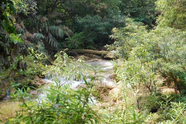 Thi Lo Su Waterfall_Umpang_Thailand 042, Водопад Ти Ло Су, Умпанг