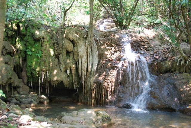 Thi Lo Su Waterfall_Umpang_Thailand 062, Водопад Ти Ло Су, Умпанг