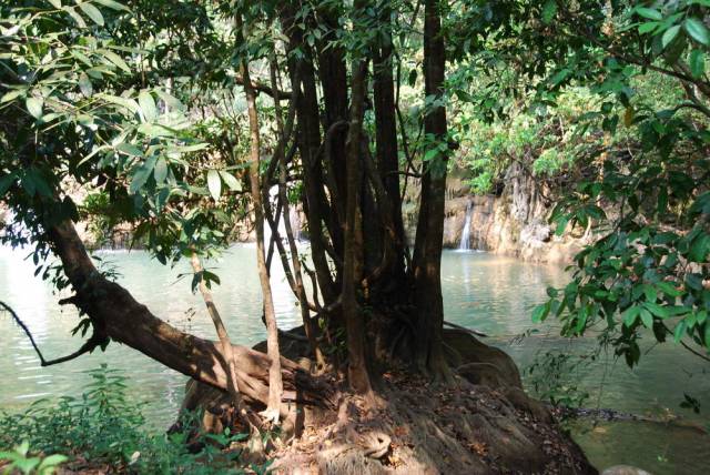 Thi Lo Su Waterfall_Umpang_Thailand 026, Водопад Ти Ло Су, Умпанг