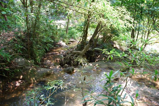 Thi Lo Su Waterfall_Umpang_Thailand 063, Водопад Ти Ло Су, Умпанг