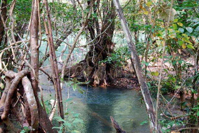 Thi Lo Su Waterfall_Umpang_Thailand 022, Водопад Ти Ло Су, Умпанг