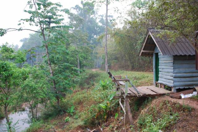 Thi Lo Su Waterfall_Umpang_Thailand 002, Водопад Ти Ло Су, Умпанг