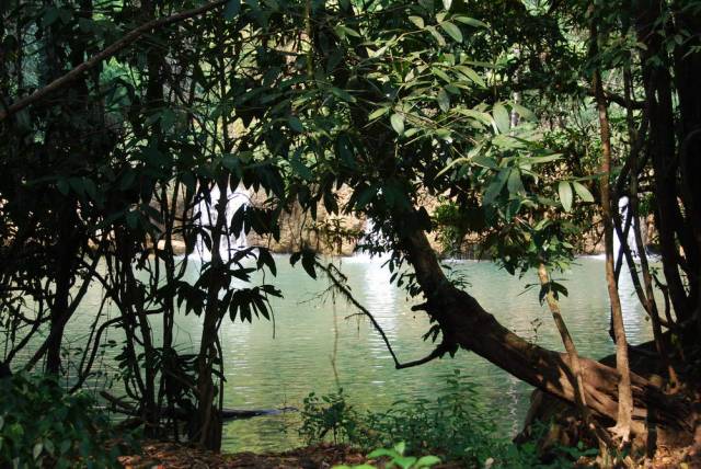 Thi Lo Su Waterfall_Umpang_Thailand 025, Водопад Ти Ло Су, Умпанг