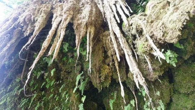 Thi Lo Su Waterfall_Umpang_Thailand 110, Водопад Ти Ло Су, Умпанг