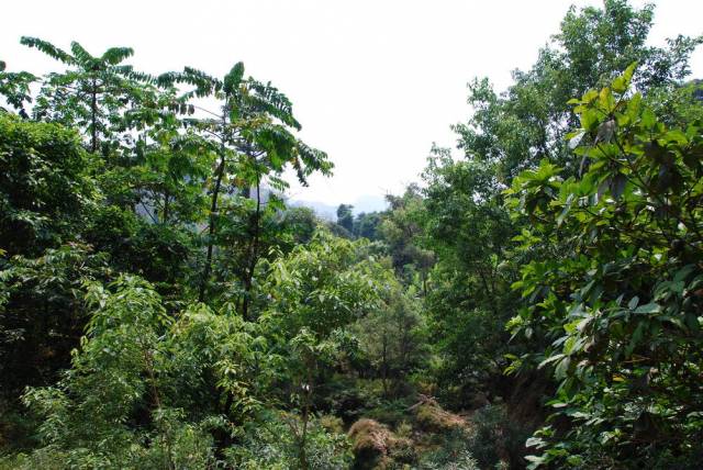 Thi Lo Su Waterfall_Umpang_Thailand 074, Водопад Ти Ло Су, Умпанг