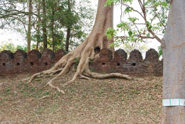 Kamphaeng Phet Historical Park 061, Kamphaeng Phet