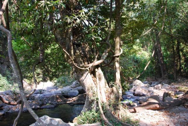 Khlong Lan Waterfall Kamphaeng Phet 43, Kamphaeng Phet