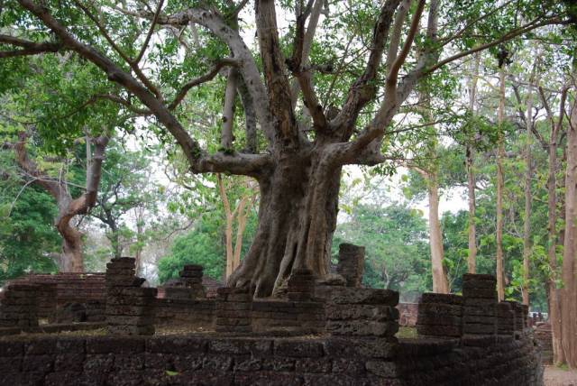 Kamphaeng Phet Historical Park 051, Kamphaeng Phet