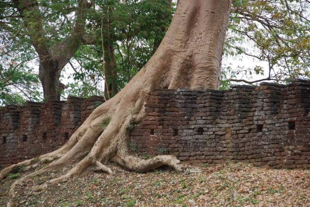 Kamphaeng Phet Historical Park 073, Kamphaeng Phet