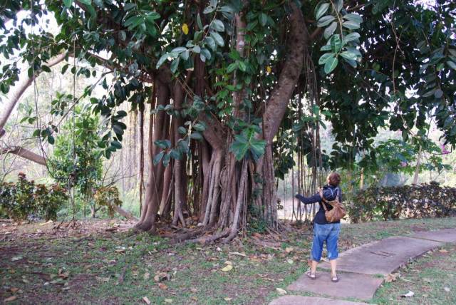 Khuean Srinagarindra National park_Kanchanaburi 06, Канчанабури