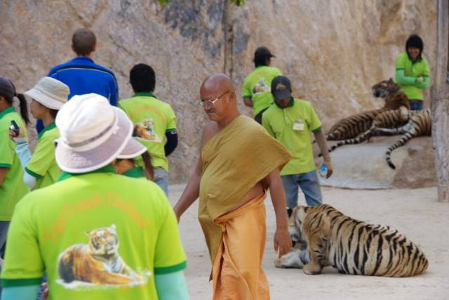 Tiger Temple_Kanchanaburi 32, Канчанабури