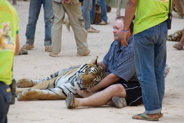 Tiger Temple_Kanchanaburi 49, Канчанабури