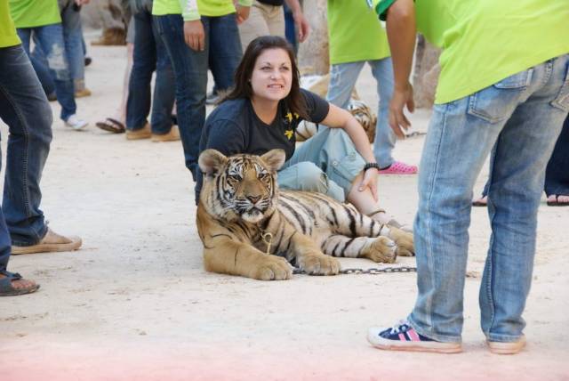 Tiger Temple_Kanchanaburi 64, Канчанабури