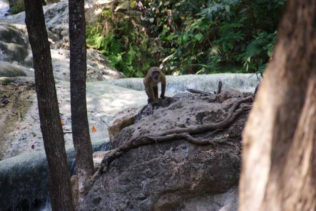 Erawan Waterfall_ Kanchanaburi 59, Канчанабури