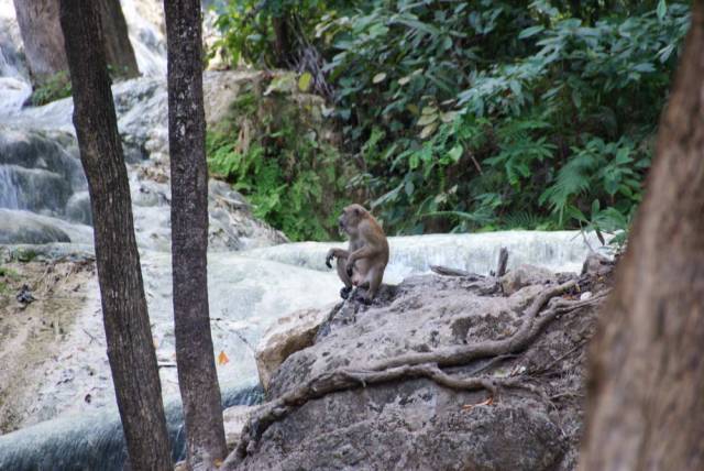 Erawan Waterfall_ Kanchanaburi 60, Канчанабури