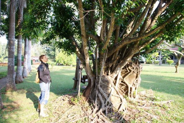 Khuean Srinagarindra National park_Kanchanaburi 10, Канчанабури