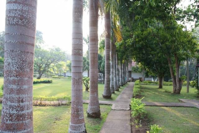 Khuean Srinagarindra National park_Kanchanaburi 02, Канчанабури