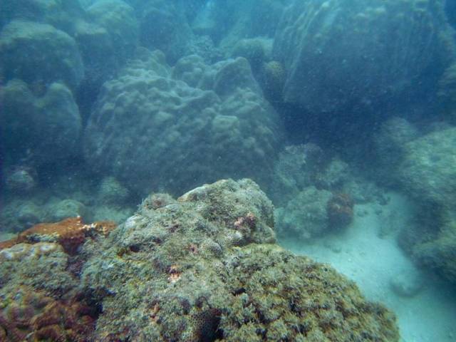 Koh Samet_ Underwater 24, Ко Самет