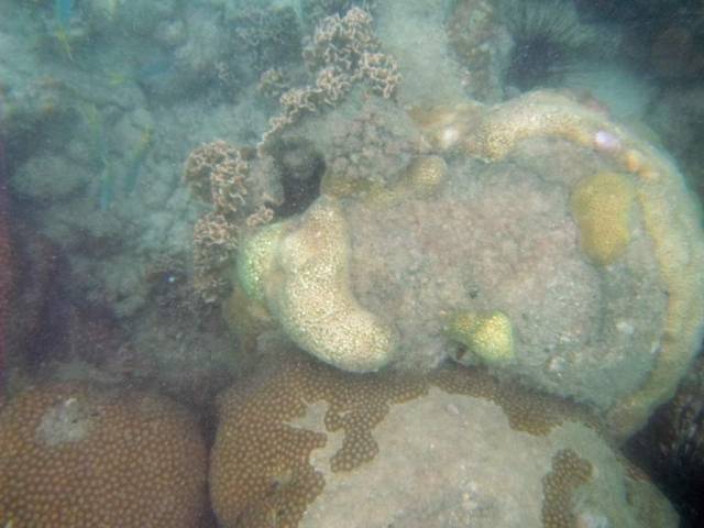 Koh Samet_ Underwater 31, Ко Самет