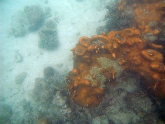 Koh Samet_ Underwater 34, Ко Самет