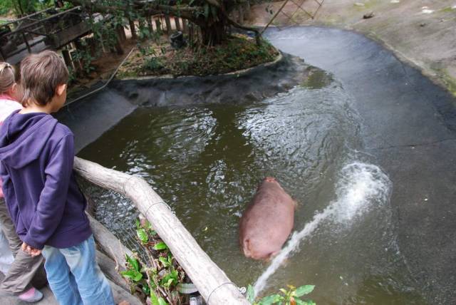 Khao Kheow Open Zoo 042, Khao Kheow Open Zoo