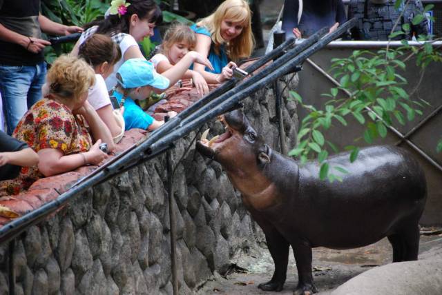 Khao Kheow Open Zoo 058, Khao Kheow Open Zoo