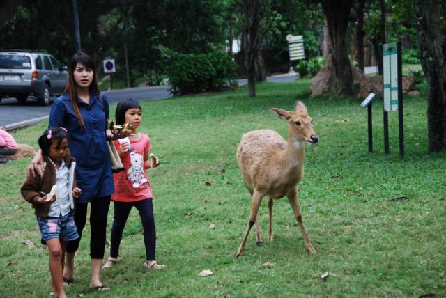 Khao Kheow Open Zoo 005, Khao Kheow Open Zoo