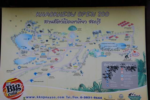 Khao Kheow Open Zoo 196, Khao Kheow Open Zoo