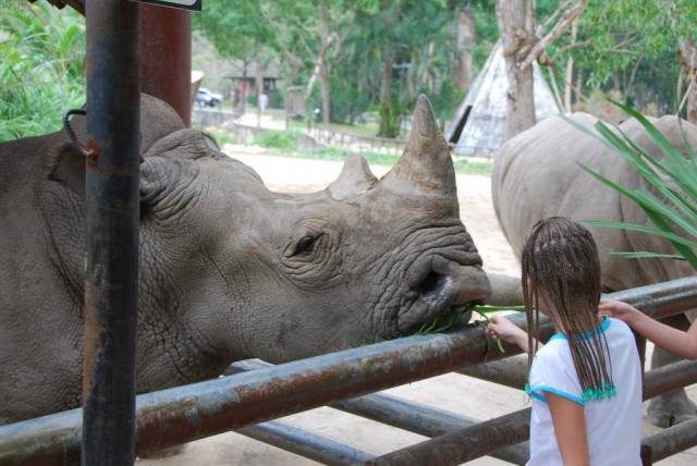 Khao Kheow Open Zoo 103, Khao Kheow Open Zoo